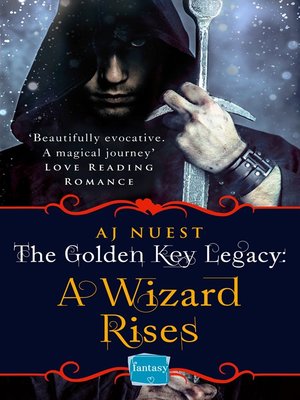 cover image of A Wizard Rises